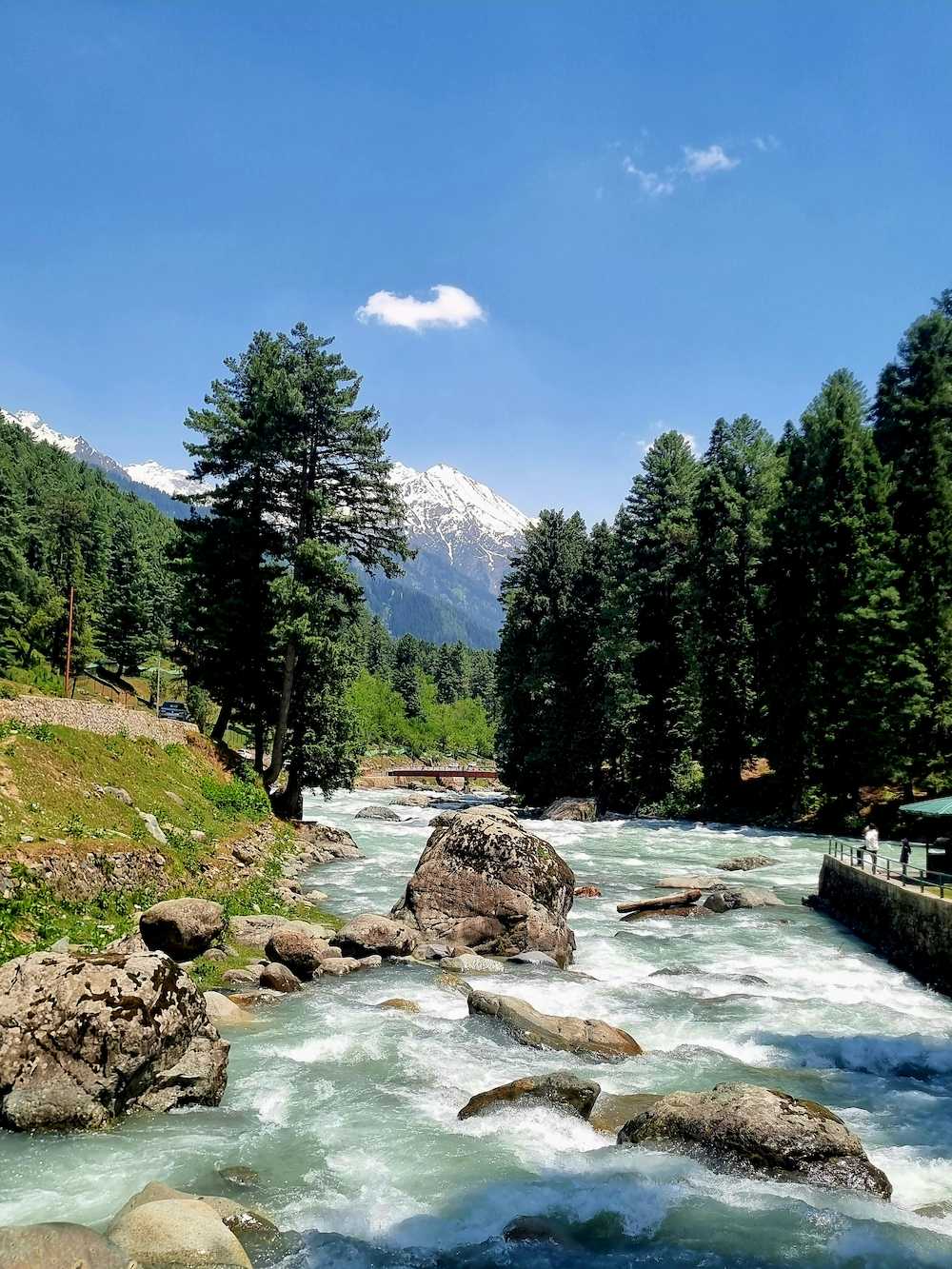 Kashmir