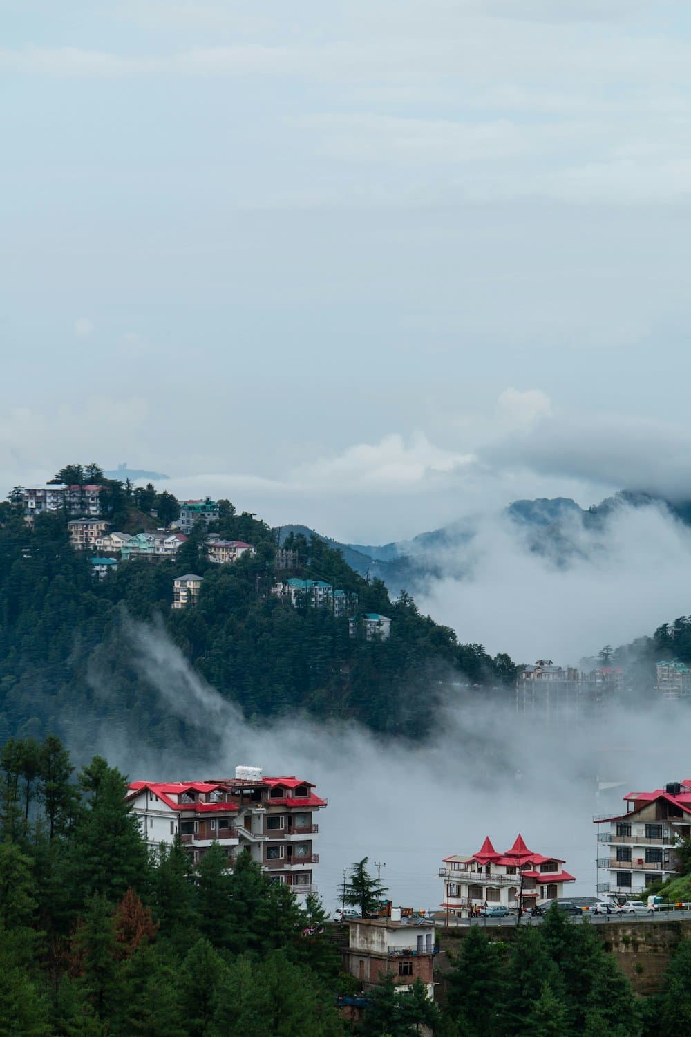 Shimla